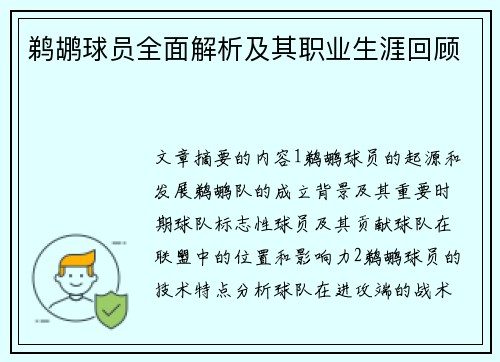 鹈鹕球员全面解析及其职业生涯回顾